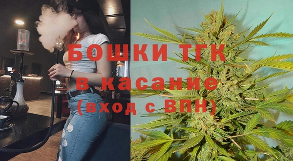 PSILOCYBIN Алзамай