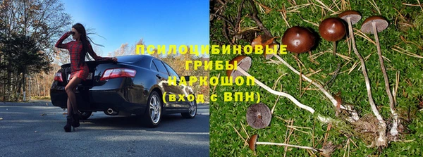 PSILOCYBIN Алзамай