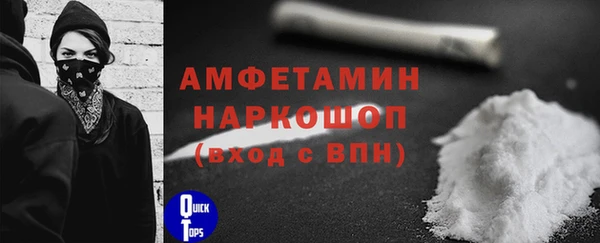 амф Алексин