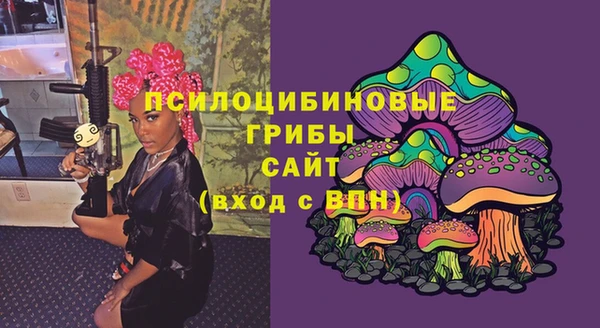 амф Алексин
