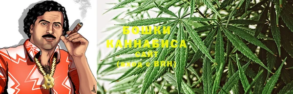 PSILOCYBIN Алзамай