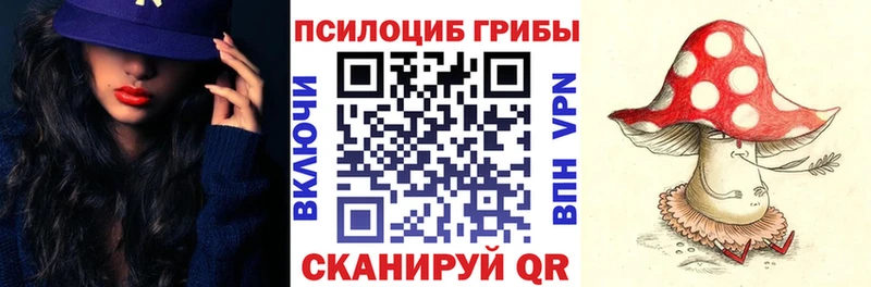 как найти закладки Жуков Псилоцибиновые грибы прущие грибы